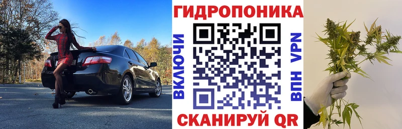 Как найти наркотики Велиж ГАШ Alpha PVP Меф Бошки Шишки