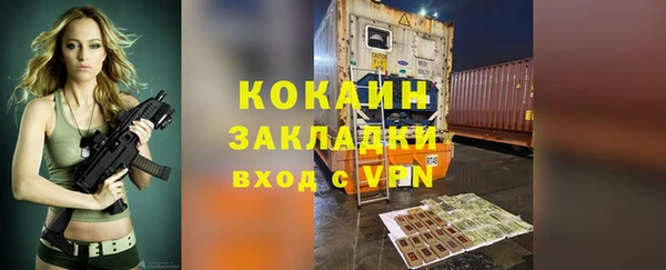 дживик Белокуриха