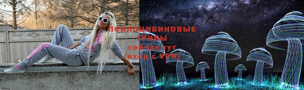 гашик Беломорск