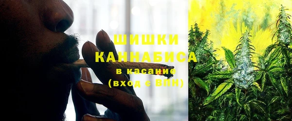 дживик Белокуриха