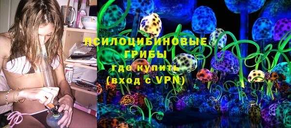 дживик Белокуриха