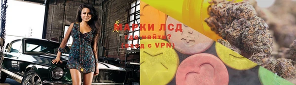 дживик Белокуриха