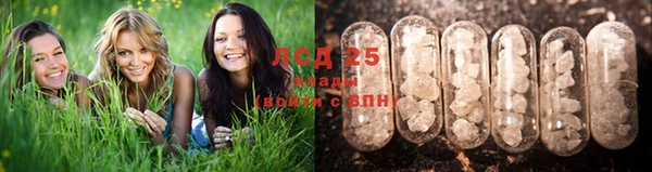 дживик Белокуриха