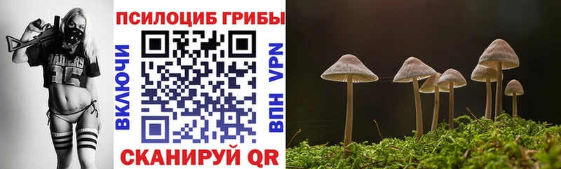 Галлюциногенные грибы MAGIC MUSHROOMS Велиж